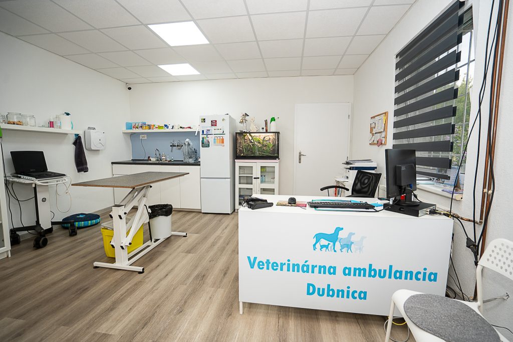 zmensena-kvalita-13 zmensena-kvalita-13